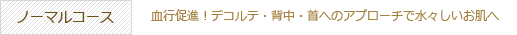 ノーマルコース「血行促進！デコルテ・背中・首へのアプローチで水々しいお肌へ」