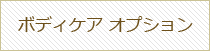 ボディオプション